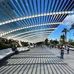 Marina Torrevieja